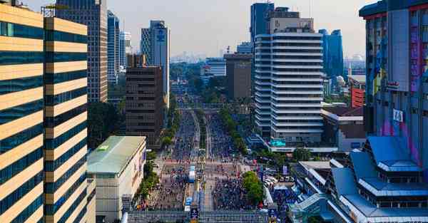 属猪2024年8月运势如何,属猪2024年8月财运查询